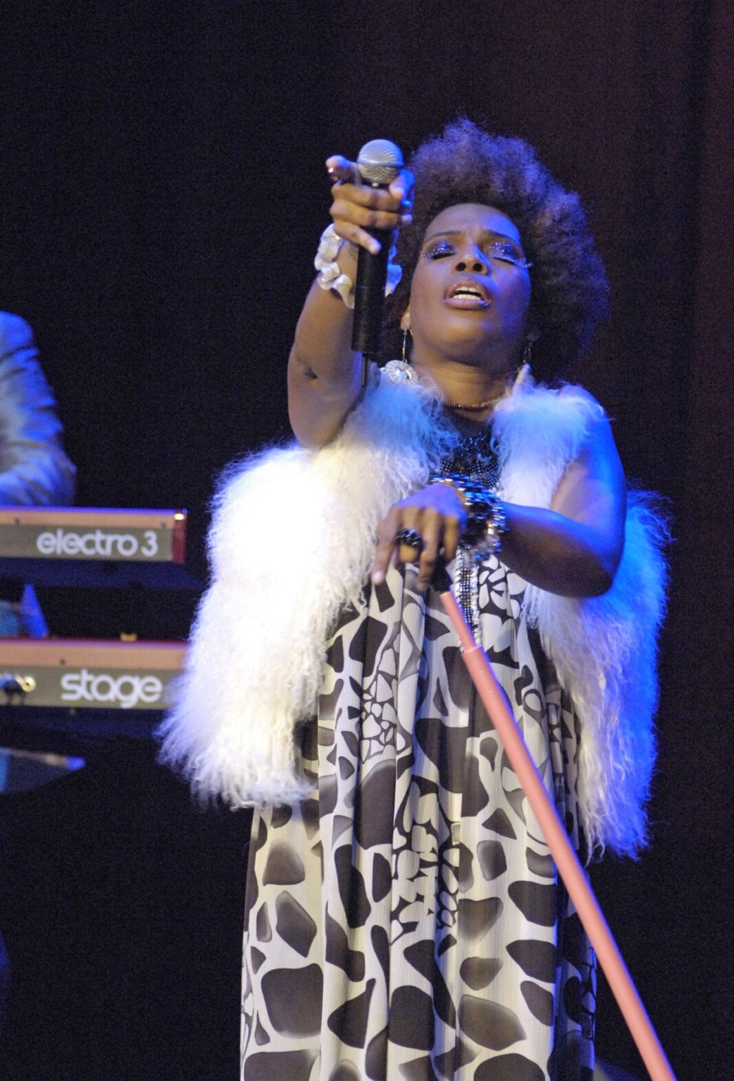 20101112_macy-gray-mass-equality-concert-4