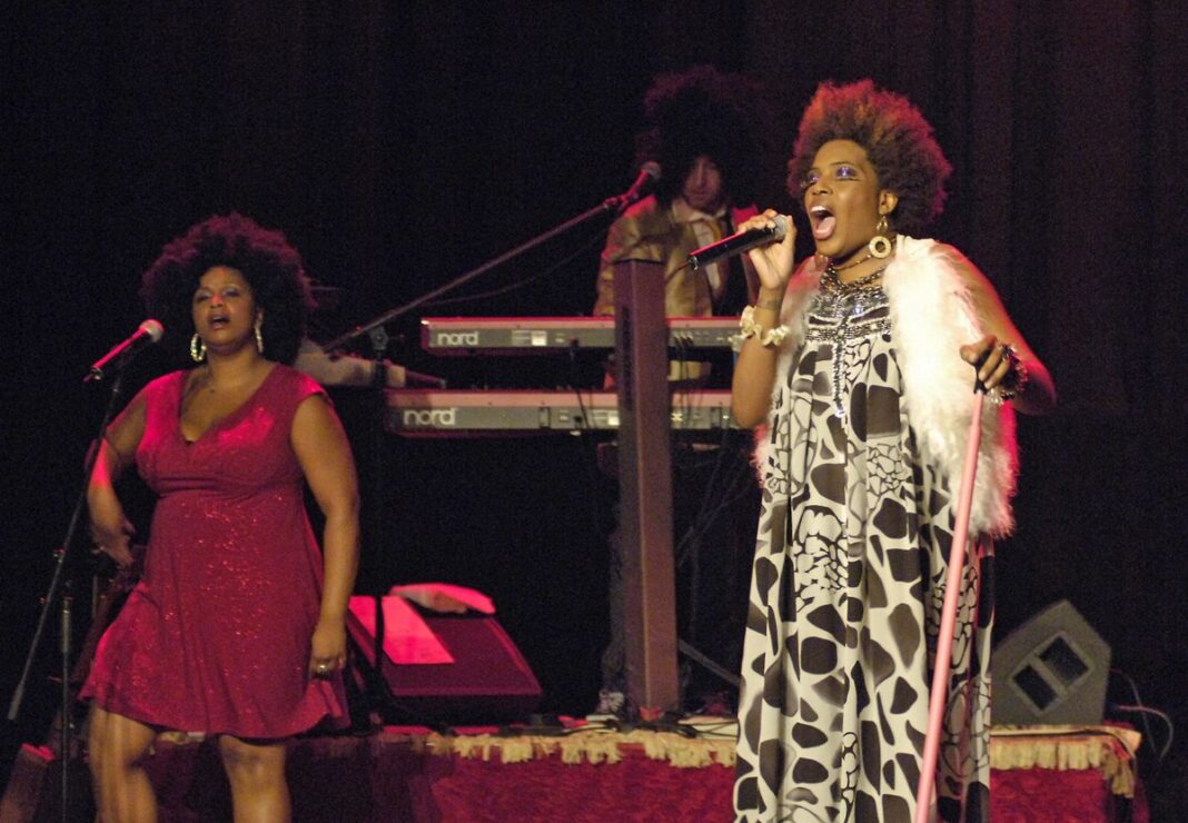 20101112_macy-gray-mass-equality-concert-6