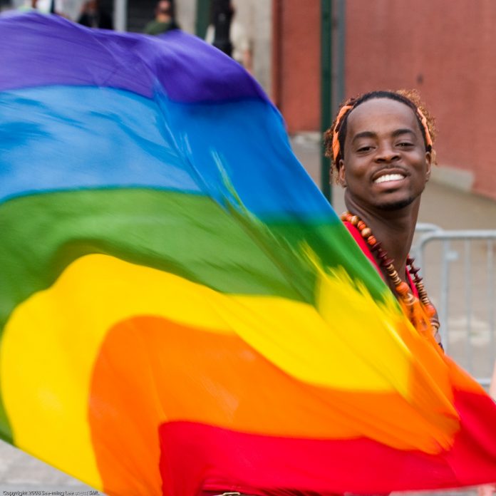 Rainbow_Flag_Gay_Pride_New_York_2008