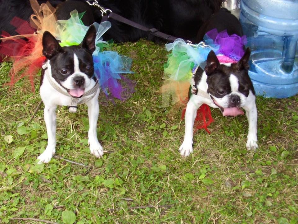 20160910_boston-pride-parade-13