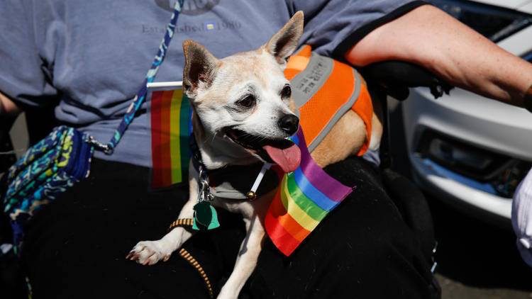 20161112_hartford-pridefest-7
