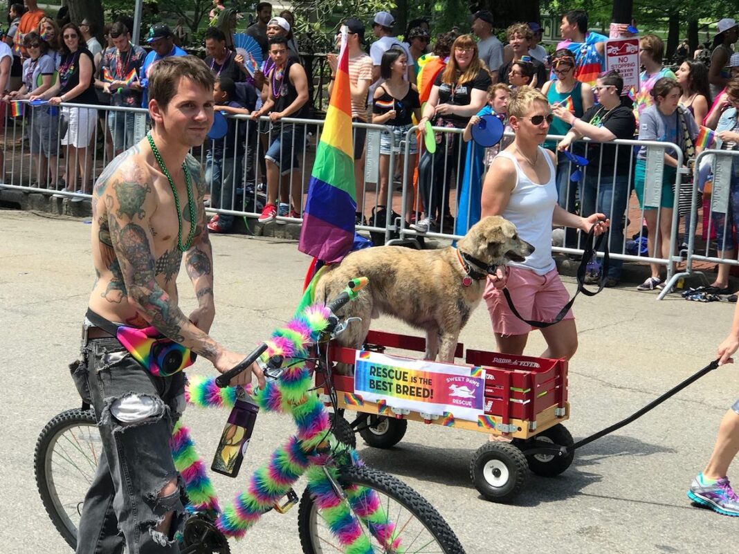 20170708_boston-pride-22