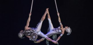 Cirque du Soleil,OVO