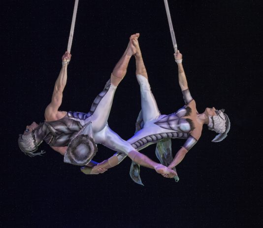 Cirque du Soleil,OVO