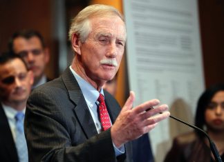 Senator Angus King